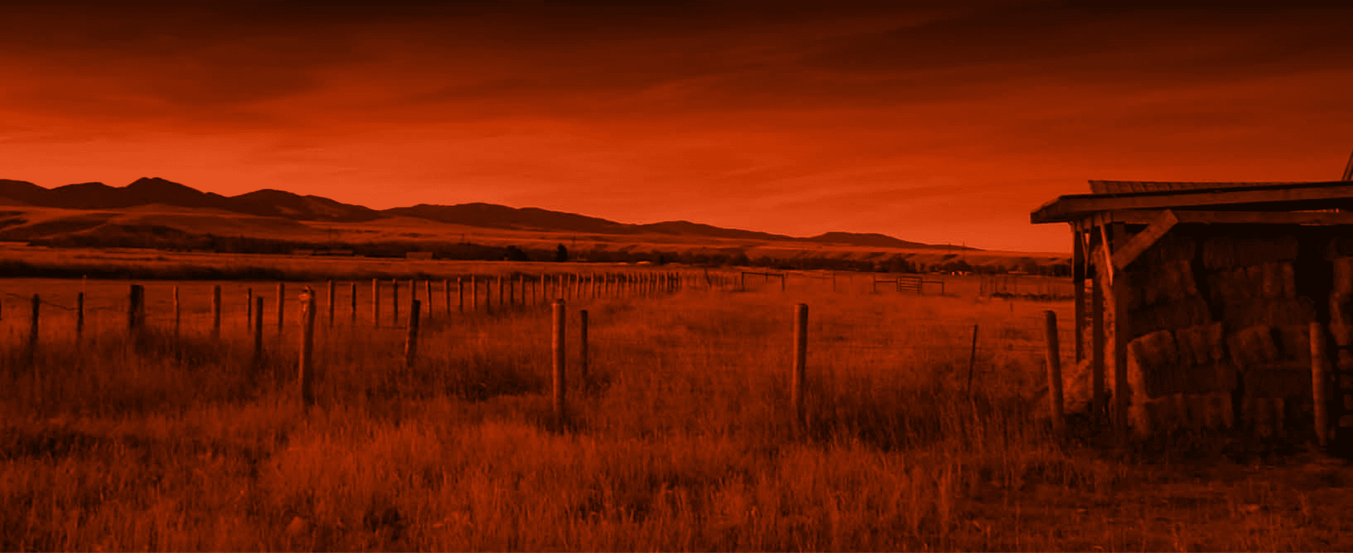 African farmland at golden dusk